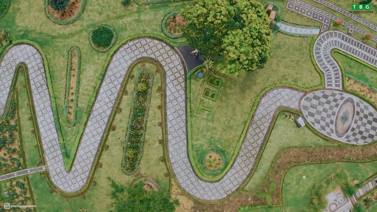 The Blooms Garden promotional video